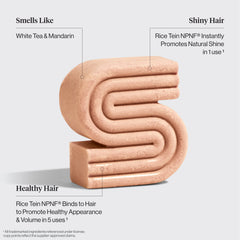 Rice Water Shampoo & Conditioner Bar Combo for Hair Growth